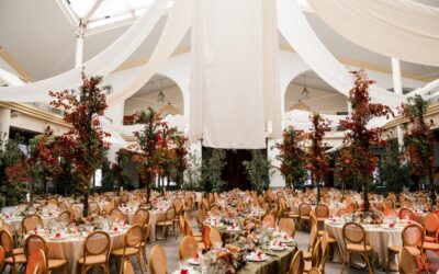 Sillas para eventos corporativos: mobiliario y montaje profesional